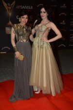 Tulsi Kumar at the red carpet of Stardust awards on 21st Dec 2015